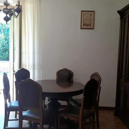 Nel Di フェラーラ